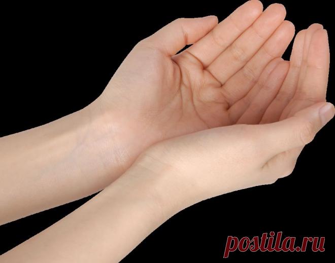 КЛИПАРТ "РУКИ".