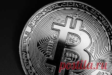 Биткоину предсказали рост до 500 тысяч долларов. Автор бестселлера «Богатый папа, бедный папа» Роберт Кийосаки предсказал, что курс биткоина вырастет до 500 тысяч долларов за монету к 2025 году. Он уверен, что вера в доллар ослабнет, а наравне с криптовалютой расти начнут цены на драгоценные металлы: серебро и золото.