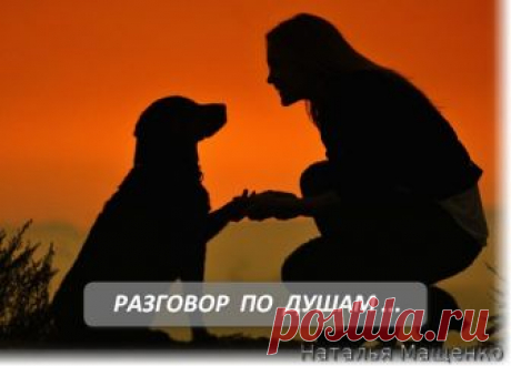 ДЛЯ ТЕХ, КТО НЕ СОВСЕМ УВЕРЕН В ТОМ, ЧТО РАЗГОВОР, ЭТО САМЫЙ ПЕРВЫЙ ПОМОЩНИК В ОТНОШЕНИЯХ:

Заболела теща, через неделю умерла. Забираем тестя к себе, благо место есть. 
У тещи был пес, просто черный лохматый урод. Забрали и его, себе на горе. Все грызет, детей прикусывает, на меня огрызается, гадит, гулять его надо выводить вдвоем, как на распорке. Вызывал кинологов, денег давал без счету- чтоб научили, как с ним обходиться, без толку. Говорят, проще усыпить...... тесть р...