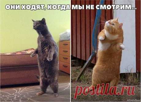 Новости - МирТесен