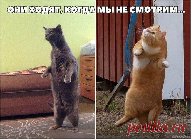 Новости - МирТесен