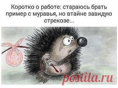 (1) Одноклассники