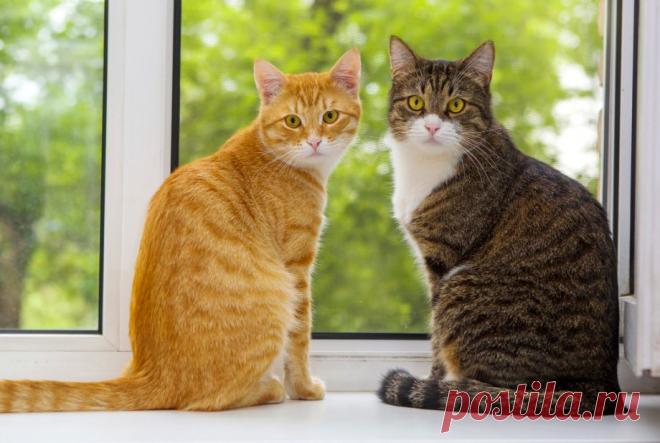 Поступок, изменивший жизнь. Олег. Бондаренко &raquo; Женский Мир