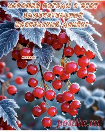 ef29d523.jpg (818×1024)