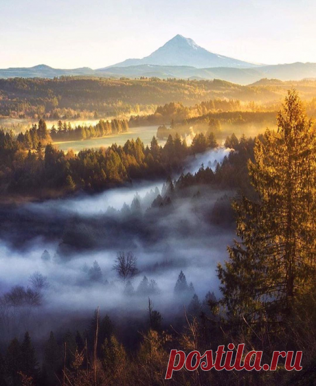 Рекомендуем | Tumblr