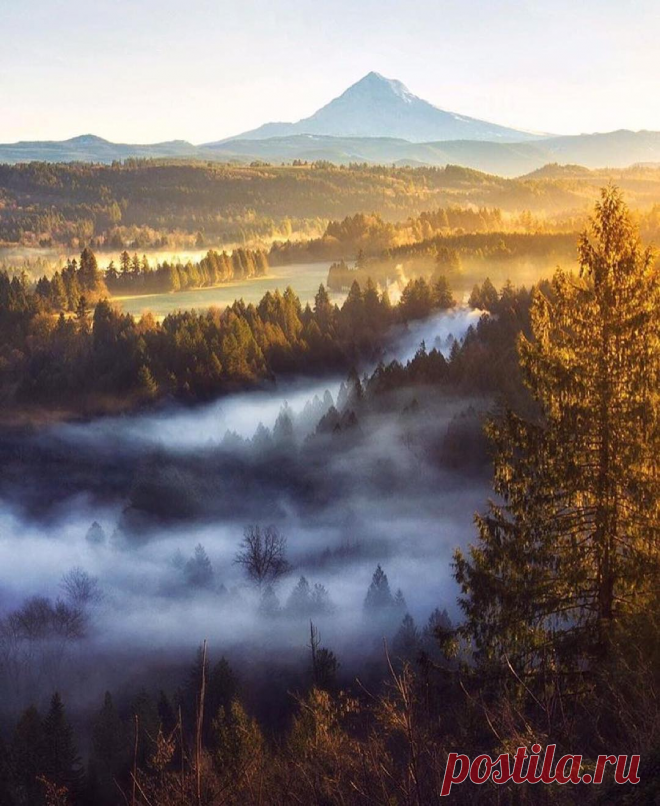Рекомендуем | Tumblr