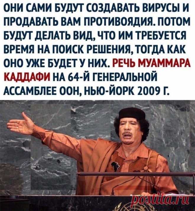 Муаммар Каддафи на 64-й сессии Генеральной.. | ФАЛЬШИВАЯ РЕАЛЬНОСТЬ