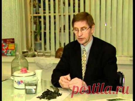 Крапива. Полезные свойства и противопоказания | Здоровый образ жизни