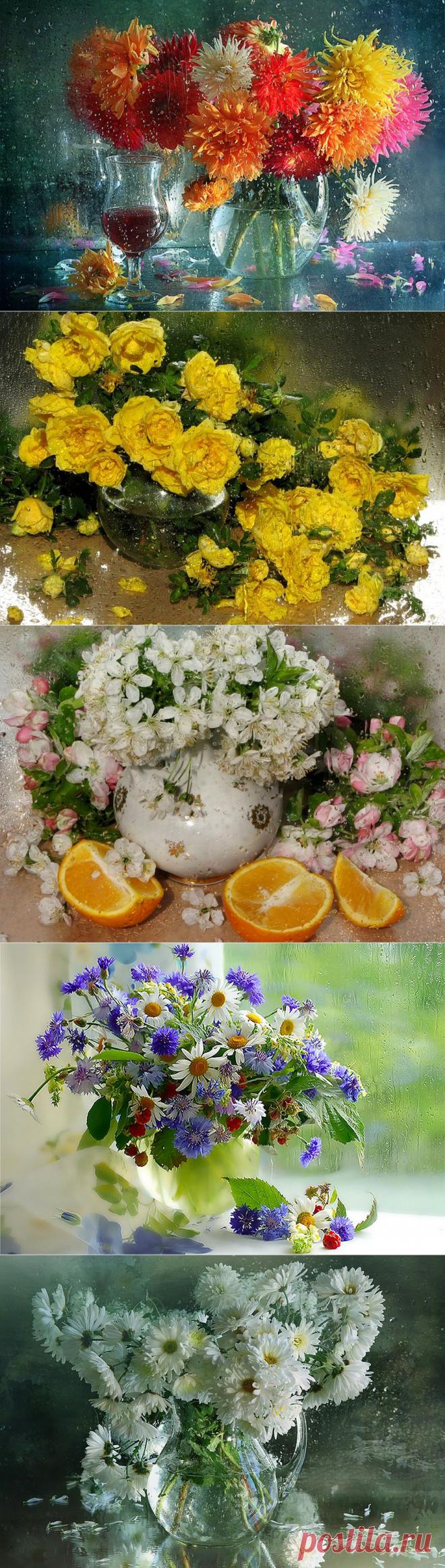 Жду свидания с дождём....