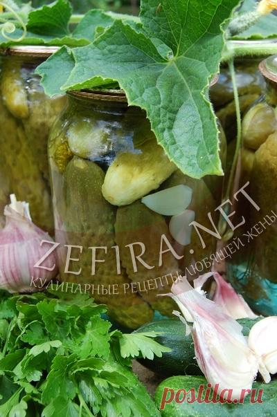 Огурцы маринованные «Особенные» 