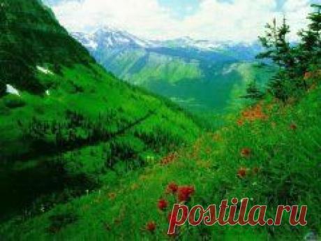 ˙·•●♥๑ஐ♥ Шикарная природа! ˙·•●♥๑ஐ♥