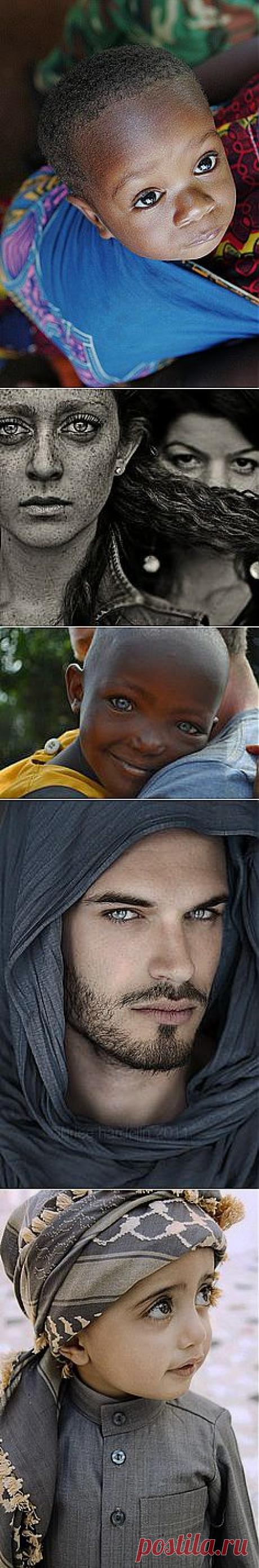 rural wrap | Windows to the Soul