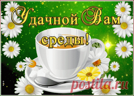 Анимационная картинка со средой