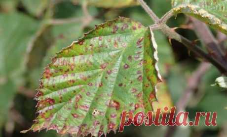 Новости - МирТесен