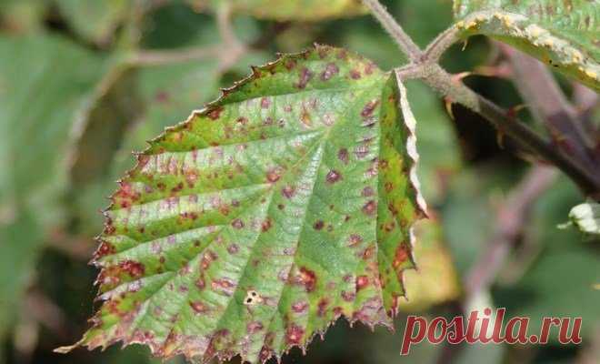 Новости - МирТесен