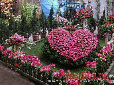 ОРИГИНАЛЬНАЯ КЛУМБА С ЦВЕТАМИ