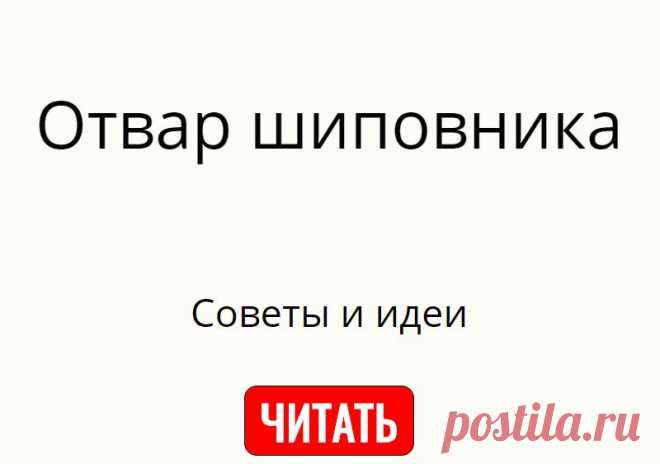 Отвар шиповника
