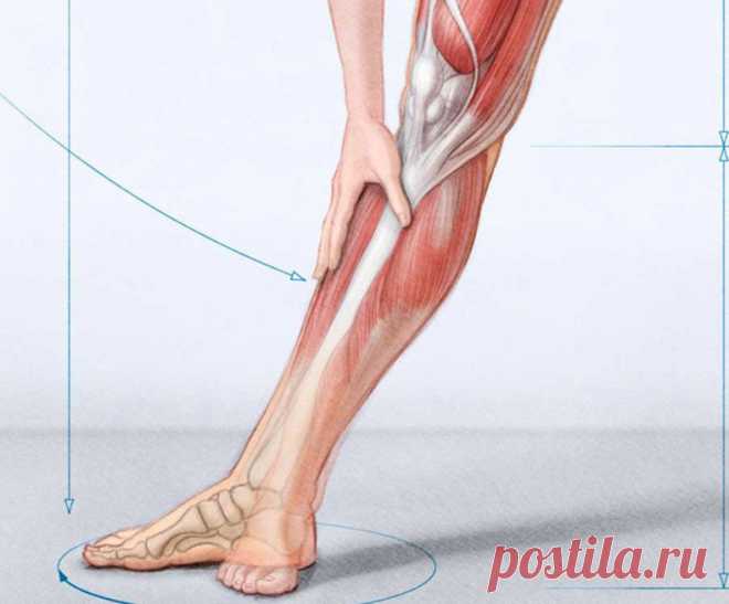 Как унять мышечные спазмы. Судороги В этой статье вы узнаете несколько несложных способов, которые помогут снять мышечные спазмы и судороги.