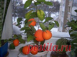 Своими руками (HandMade, дизайн, творчество)