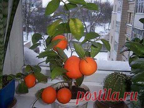 Своими руками (HandMade, дизайн, творчество)