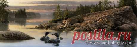 Discovery Point - Loons, ограниченное издание, подписанное вручную Коллином Боглом - Collin Bogle Nature Art