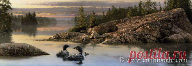 Discovery Point - Loons, ограниченное издание, подписанное вручную Коллином Боглом - Collin Bogle Nature Art