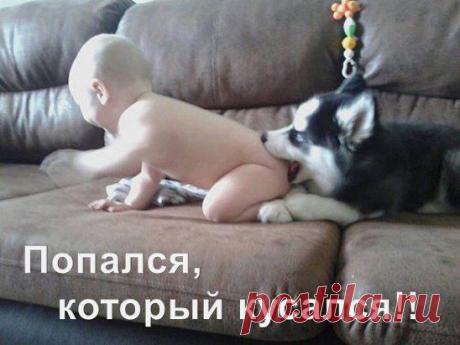 (*) СУПЕРПРЕДЛОЖЕНИЕ!!! Сидите в долгах, кредитах, платите неподъемную ипотеку, но когда вам предлагаешь реальный заработок, начинается: "Лохотрон", "Не может быть", "Достали со своими предложениями". Не верю!  - Люди! Очнитесь! Вы так и будете выживать, а не жить, считая дни до аванса и растягивать последнюю тысячу до зарплаты! Хотите прекратить постоянную борьбу за выживание??? Ставьте $ в комментариях, предоставлю подробную информацию!