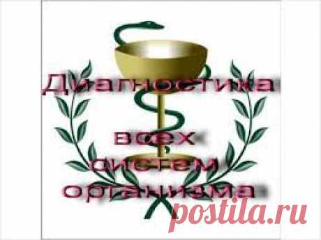 Диагностика организма
Предлагаем пройти полную диагностику всего организма за 2 часа. Запись на бесплатную консультацию: 
тел. 8-952- 518-09-71