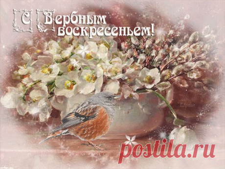 (60) Одноклассники