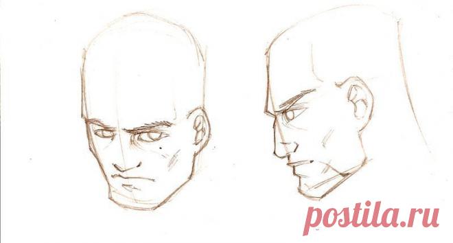 Лицо Гиппократа: Что могут рассказать о здоровье черты и цвет лица человека