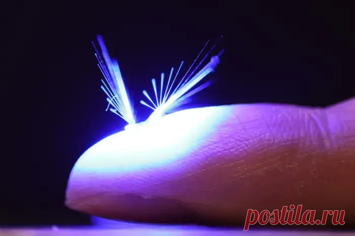 FAIRY — искусственная фея управляется светом
Исследователи из группы Light Robots из Университета Тампере сейчас изучают, как заставить умный материал летать. Хао Цзэн , научный сотрудник Академии и руководитель группы, и Цзяньфэн Ян , докторант, разработали новый дизайн для своего проекта под названием FAIRY — летающие аэророботы на основе светочувствительных материалов . Они разработали робота для сборки полимеров, который летает за счет ветра и управляется светом.