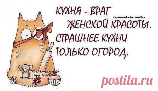 СТИХИ И ПОЗДРАВЛЕНИЯ
...ЛЕНА .♥
