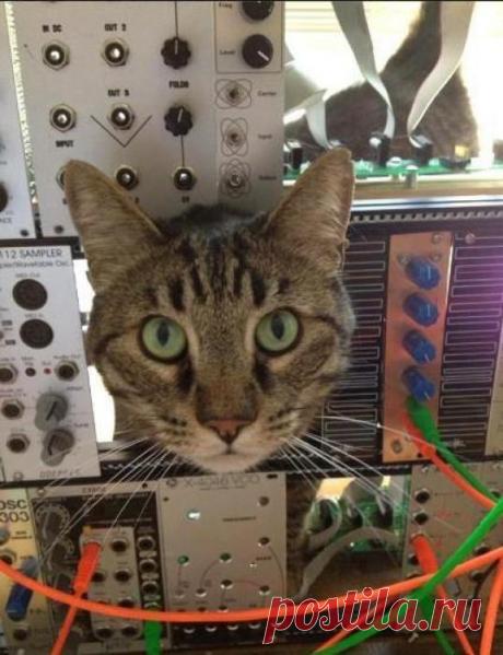 Я уже проголодался!