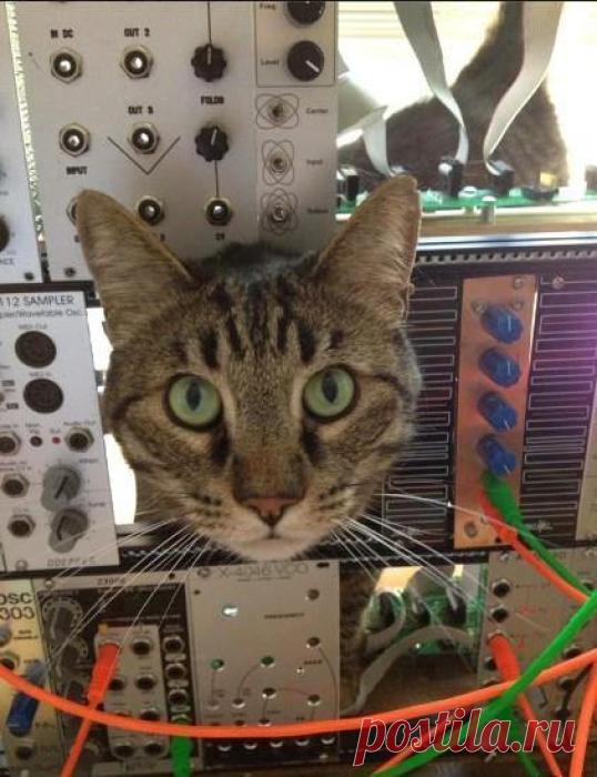 Я уже проголодался!