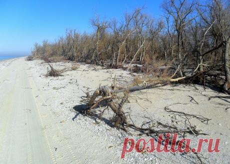 Из странствий осенних... В ноябре... - 2 Ноября 2018 - Персональный сайт
