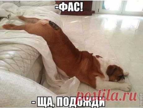 •Я думаю,он точно не опоздает!