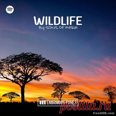 VA — TOP 115: Wildlife by Sons Of Maria January 2022 - 12 January 2022 - EDM TITAN TORRENT UK ONLY BEST MP3 FOR FREE IN 320Kbps (Скачать Музыку бесплатно).
