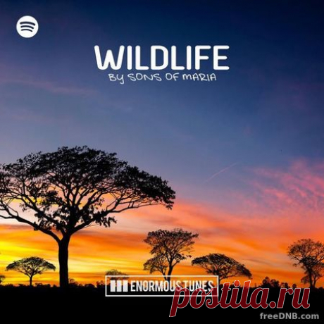 VA — TOP 115: Wildlife by Sons Of Maria January 2022 - 12 January 2022 - EDM TITAN TORRENT UK ONLY BEST MP3 FOR FREE IN 320Kbps (Скачать Музыку бесплатно).