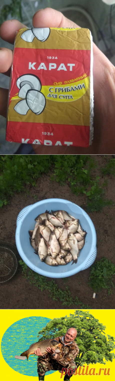 Сыр "Дружба" как насадка или от поклёвок не будет отбоя | О рыбалке 🎣 | Яндекс Дзен