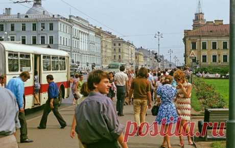 5 пошаговых рецептов блюд к новогоднему столу - МирТесен