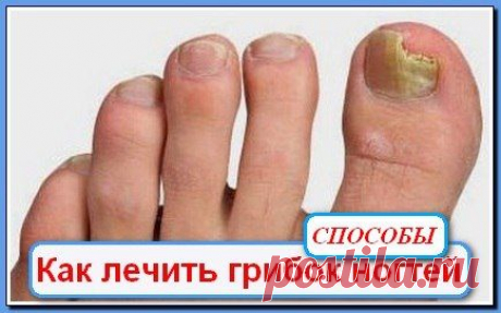 Халисат Сулейманова