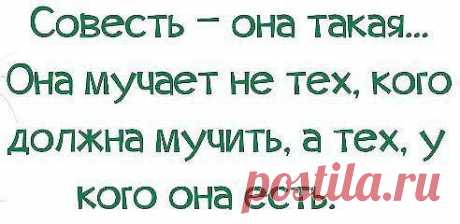 цитаты