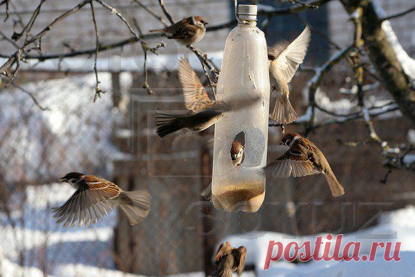 Поделки ЭКО | 288 фотографий