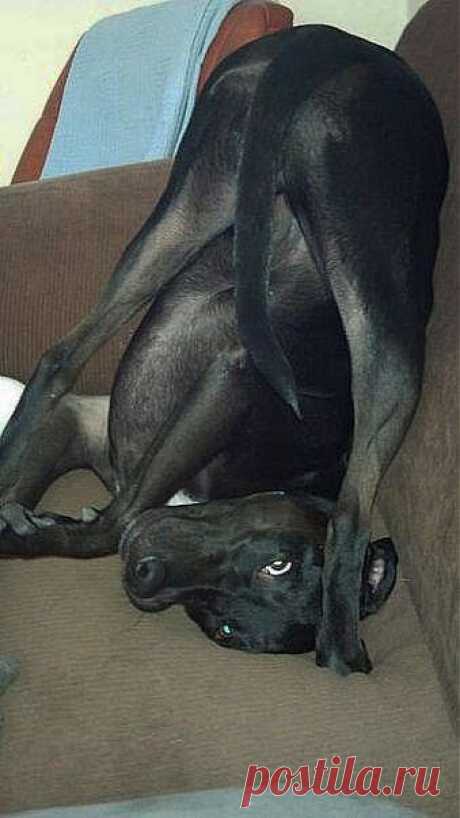 А вы так сможете?