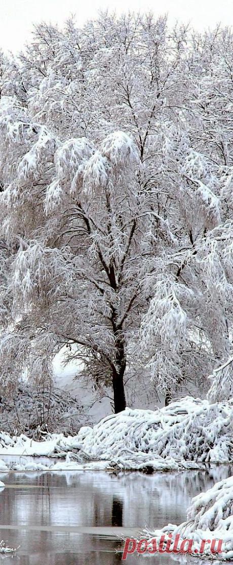 Snow making lace ornaments ~ 4 Season World