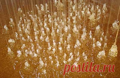 (9) Одноклассники