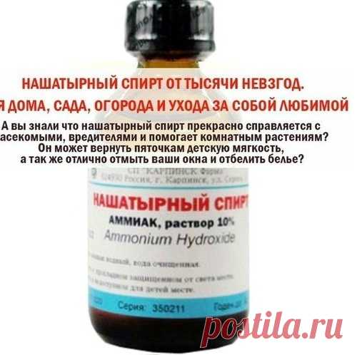 Нашатырный спирт: применение против насекомых