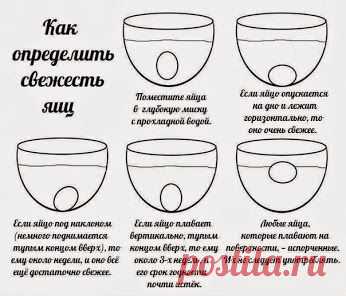 Как определить свежесть яиц.