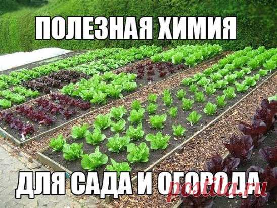 Полезная химия для сада и огорода