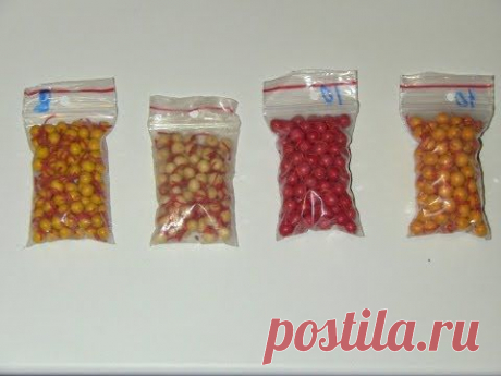 Самая уловистая приманка(Дневник рыболова)